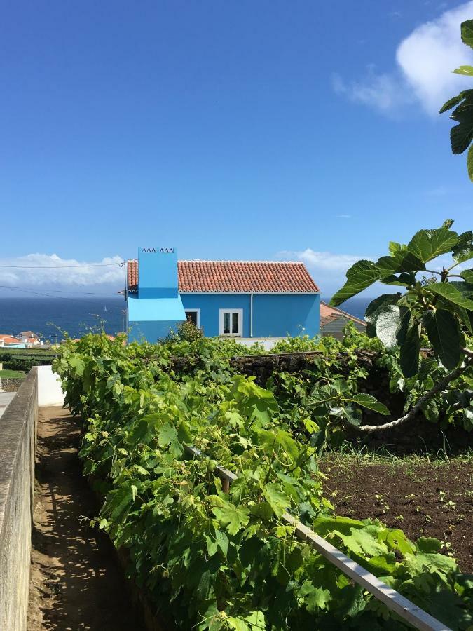 Casa Do Vizinho Villa Porto Judeu Ngoại thất bức ảnh